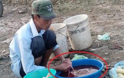 Thâm nhập nơi mổ vịt, hãm tiết canh bẩn nhất Hà Thành (Kỳ I)