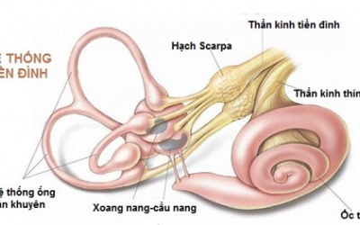 Cẩm nang về rối loạn tiền đình