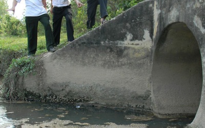 Điều tra xác định nguyên nhân gây bệnh ung thư tăng bất thường