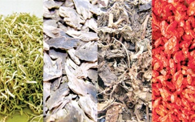 Đông y điều trị viêm não