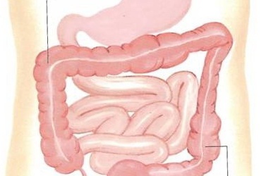 Táo bón mãn tính dễ gây ung thư ruột già