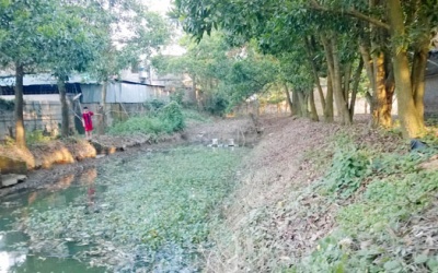 Trại gà ô nhiễm, dân đi ngủ phải đeo khẩu trang