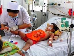 Bài thuốc dân gian trị sốt xuất huyết