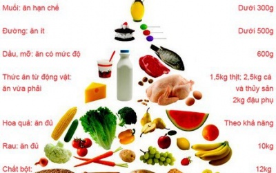 Tháp dinh dưỡng cho người cao tuổi