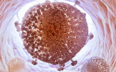 Loại bỏ thành công virus HIV khỏi tế bào người