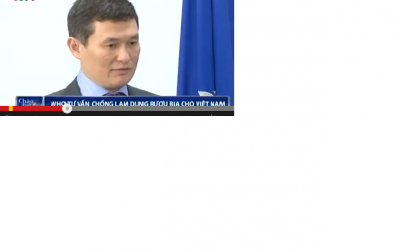 WHO tư vấn chống lạm dụng rượu bia cho Việt Nam