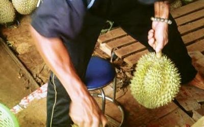 Hóa chất cực độc giúp trái cây một tháng vẫn... tươi