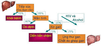 Những đối tượng dễ mắc viêm gan C