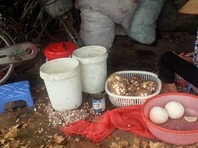 Kinh hoàng 'kem ruồi' Hà Nội