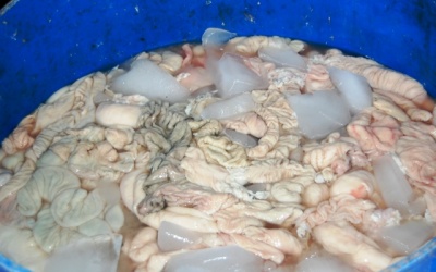 Gần 5 tạ nội tạng bẩn có giá 10.000 đồng/kg bị phát hiện trên đường tiêu thụ