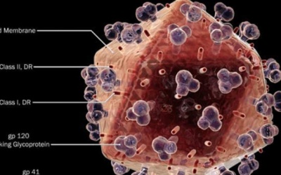 Có hy vọng trong cuộc chiến chống đại dịch HIV/AIDS