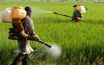 Giải độc não nhờ phiên bản protein mới