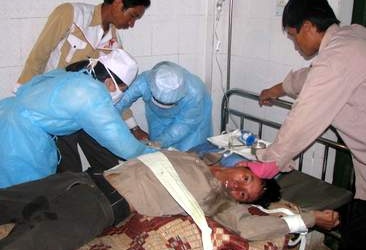 Phòng bệnh dại đúng cách: Giảm nguy cơ tử vong