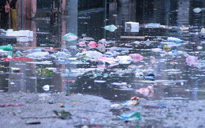 Tiêu chảy cấp: có thể nâng mức cảnh báo