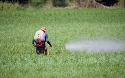 Thuốc trừ sâu ảnh hưởng tới 3 thế hệ