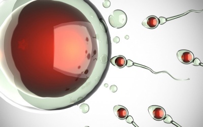 Hướng đi mới trong điều trị vô sinh