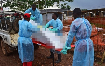 WHO: Ebola bị đánh giá thấp về quy mô