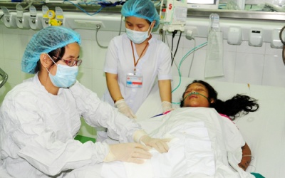 Đi cắt cỏ, hai chị em bị ong bò vẽ đốt nguy kịch