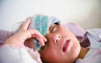 Chủ động phòng bệnh viêm não virus