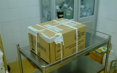 Tập trung xác định nguyên nhân 3 trẻ tử vong sau phẫu thuật từ thiện