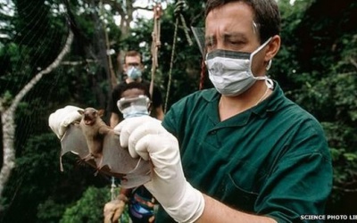 Dịch Ebola tại Congo không lây từ các nước Tây Phi