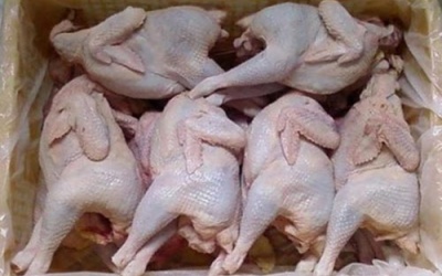 Gà thải loại 'ăn mòn sức khỏe'