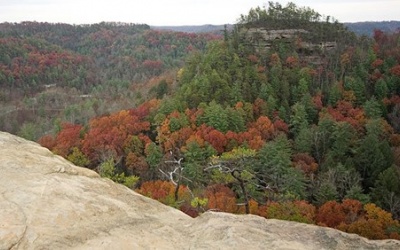 Sống sót thần kỳ khi rơi xuống vách đá sâu 19m