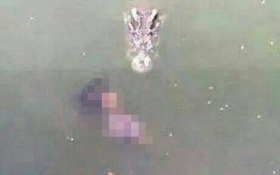 Nhảy xuống hồ có 1.000 con cá sấu để tự sát