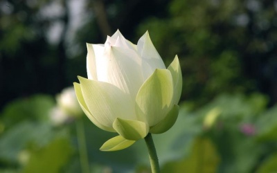 Bí quyết sống khỏe là thân tâm an lạc