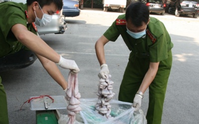 Bắt giữ 500kg tràng lợn nhập lậu từ Trung Quốc