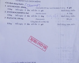 Lập Hội đồng chuyên môn, phân tích ca tử vong tay chân miệng