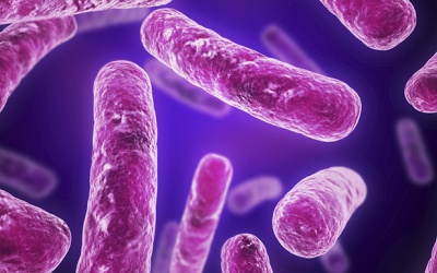 Chữa mụn và vết loét bằng… vi khuẩn