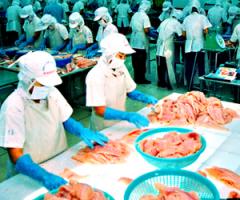 TP.HCM:  Chưa kiểm soát được nguồn gốc thực phẩm