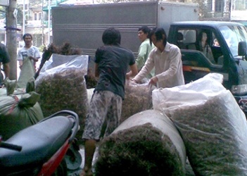 Phát hiện cơ sở sản xuất thuốc Đông y trộn tân dược