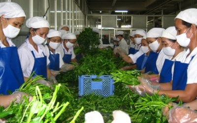 Giám sát an toàn thực phẩm: ‘Chỉ mang tính tượng trưng”?