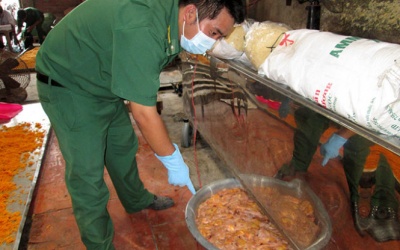 Tiêu hủy gần 1 tấn ruốc bẩn