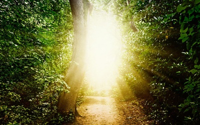 Bí ẩn sau cái chết của con người