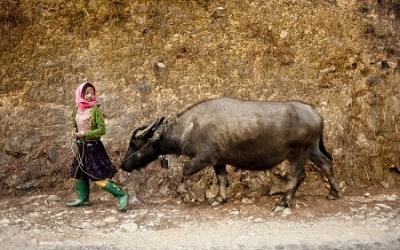 Việt Nam đoạt giải đồng cuộc thi ảnh quốc tế về Trẻ em