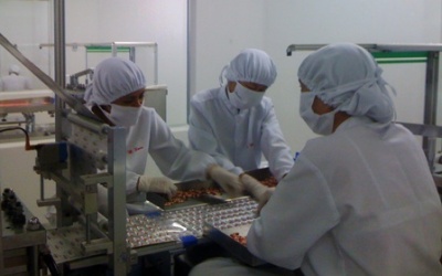 Đấu thầu thuốc giá rẻ: Chất lượng bị cào bằng