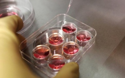 Apple, Facebook hỗ trợ nhân viên nữ 'đông lạnh trứng'