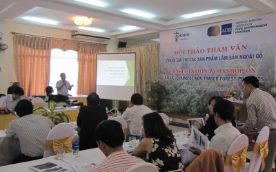 Phát triển các chuỗi giá trị: Cơ hội & thách thức