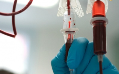 Những loại thuốc nào có thể chữa Ebola? 