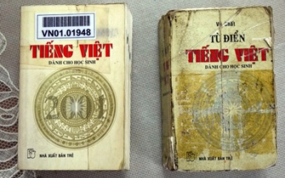 Từ điển phá nát tiếng Việt