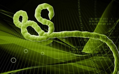 Ebola: Tekmira tung ra thuốc điều trị mới vào tháng 12