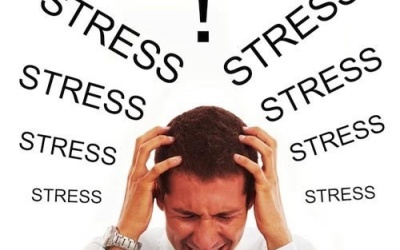 Giảm stress bằng xoa bóp bấm huyệt