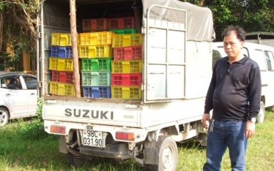 Bắt giữ ô tô chở 16.000 con gà giống nhập lậu