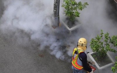 Đài Loan: Hơn 6.000 ca nhiễm sốt xuất huyết 