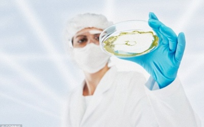 Ai đang cản trở cuộc chiến chống ung thư của thế giới?