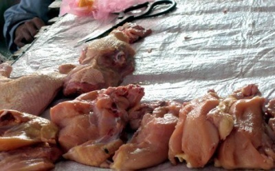 Hô biến thịt gà thứ cấp thành thịt lợn thăn tươi rói