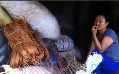 Lạng Sơn: Dân tận thu dược liệu bán sang Trung Quốc